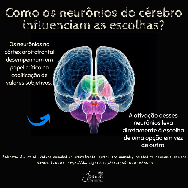 neurociência