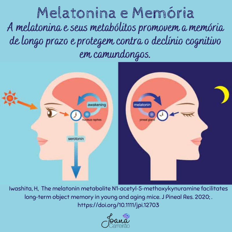 melatonina e memória