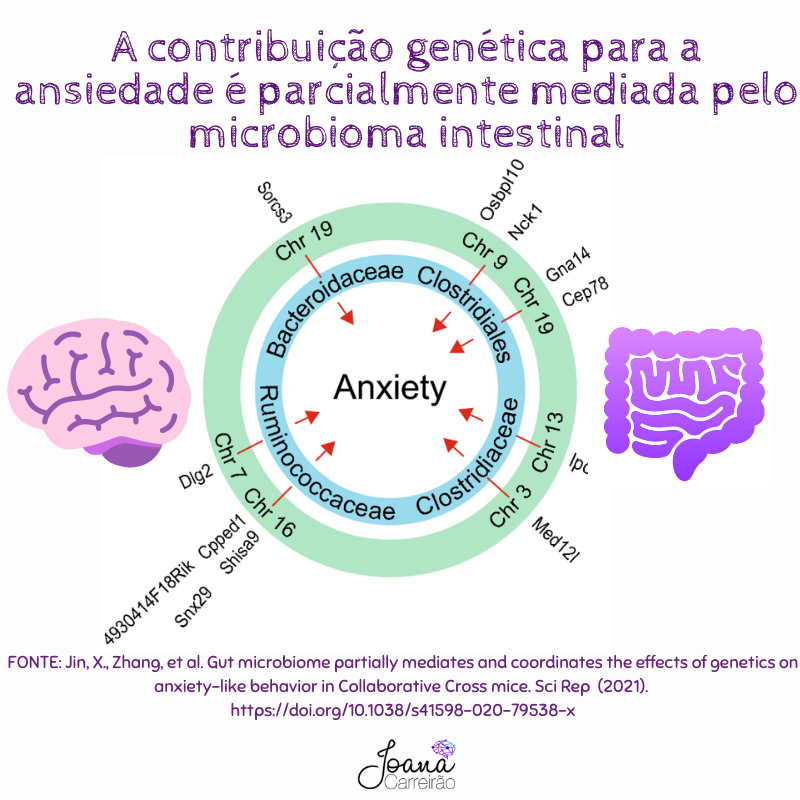 microbiota intestinal e ansiedade